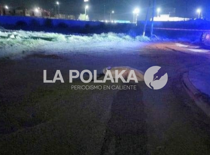 Otro Tapado en Juarez
